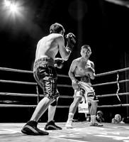 Professional Boxing